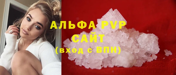 стафф Осинники