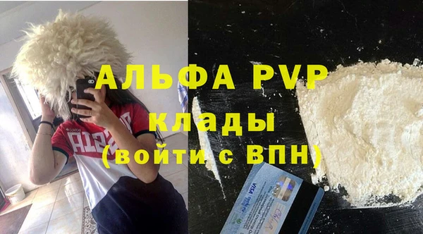 стафф Осинники