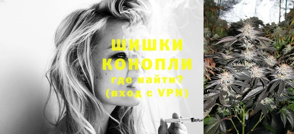стафф Осинники