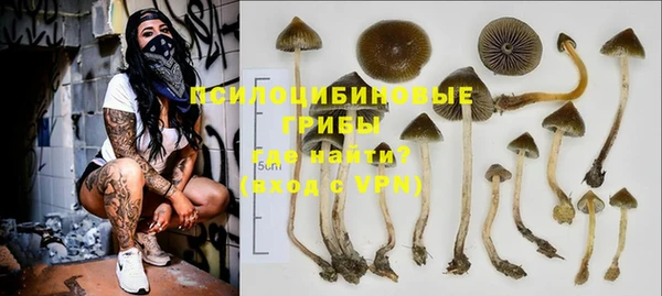 стафф Осинники