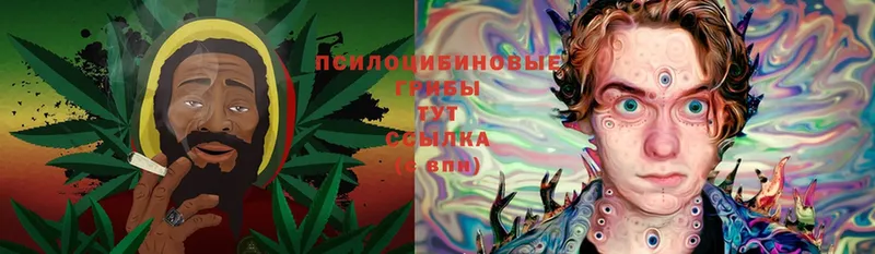 Псилоцибиновые грибы Magic Shrooms  где продают   Баксан 