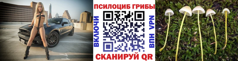 Псилоцибиновые грибы ЛСД  Баксан 