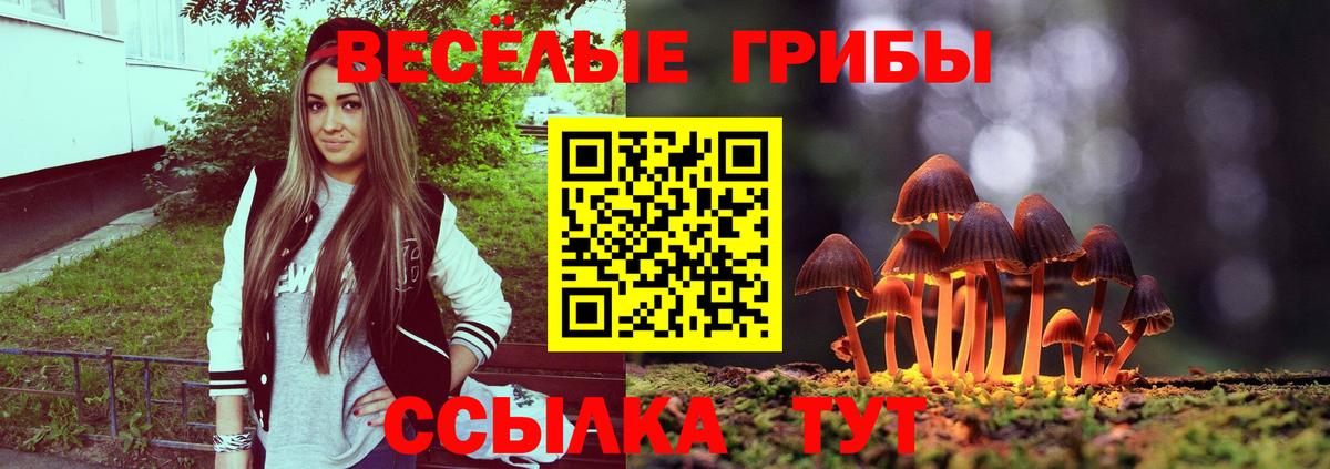 Псилоцибиновые грибы Cubensis  Баксан  Галлюциногенные грибы MAGIC MUSHROOMS 