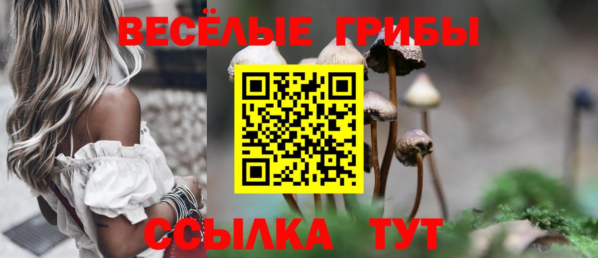 Баксан  Галлюциногенные грибы Magic Shrooms  Вход с VPN 